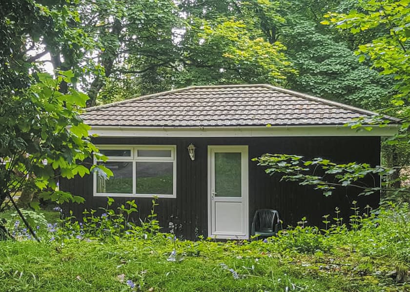 2 Bed Bronze Chalet sleeps 4 (Pet) - St Ives Holiday Village, Lelant, St Ives