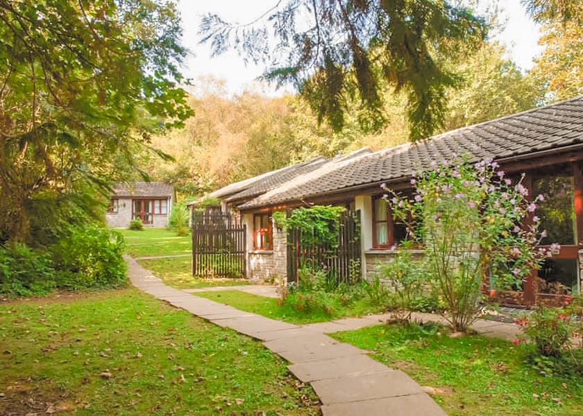 2 Bed Silver Bungalow 4 (Pet) (Sat) - St Ives Holiday Village, Lelant, St Ives