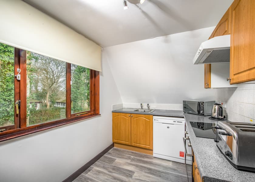 3 Bed Bronze Swiss Chalet - St Ives Holiday Village, Lelant, St Ives