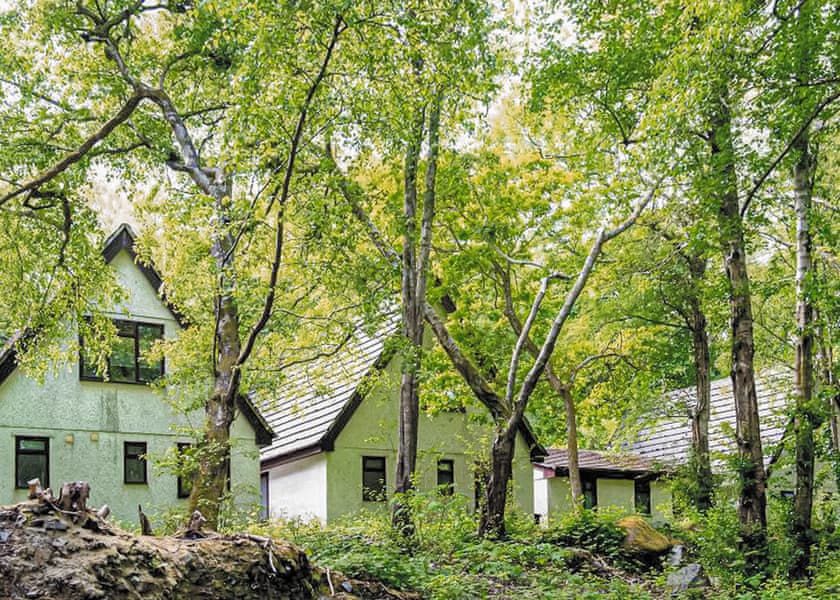 Typical SI 3 Bed Bronze Swiss Chalet (Pet) | St Ives Holiday Village, Lelant, St Ives