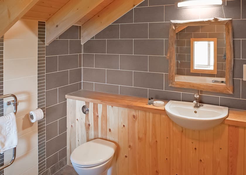 Classic Silver Birch 2 (Pet) - Strathyre Lodges, Callander, Stirlingshire