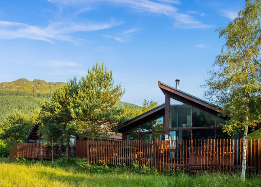 Golden Oak 1 (Pet) - Strathyre Lodges, Callander, Stirlingshire