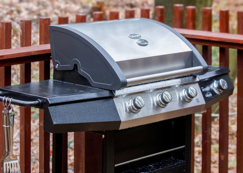 Golden Oak Hideaway (Pet) - Strathyre Lodges, Callander, Stirlingshire