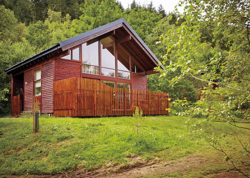 Classic Silver Birch 3 (Pet) - Strathyre Lodges, Callander, Stirlingshire