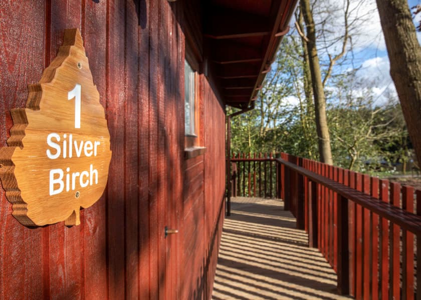 New Style Silver Birch (Pet) - Strathyre Lodges, Callander, Stirlingshire