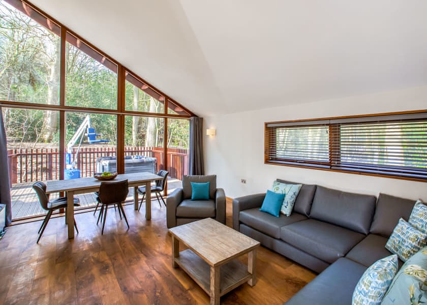 New Style Silver Birch (Pet) - Strathyre Lodges, Callander, Stirlingshire