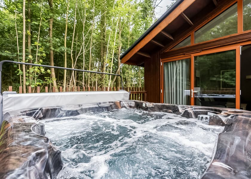 New Style Silver BirchWF (Pet) - Strathyre Lodges, Callander, Stirlingshire