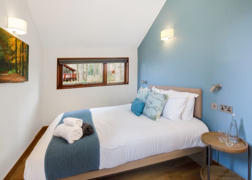 New Style Silver BirchWF (Pet) - Strathyre Lodges, Callander, Stirlingshire