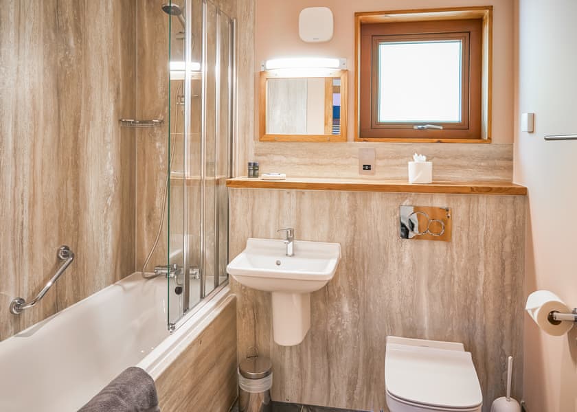 New Style Silver BirchWF (Pet) - Strathyre Lodges, Callander, Stirlingshire