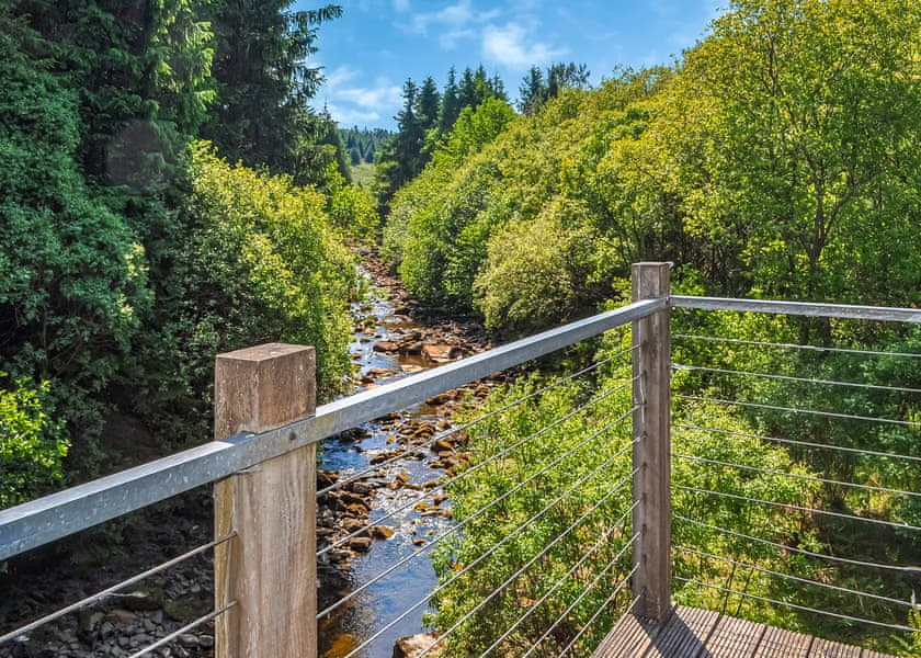 Sky Den - Calvert Kielder, Calvert Kielder, Kielder Water & Forest Park