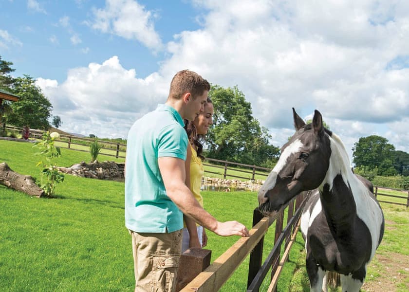 Sun Hill Lodges, Constable Burton