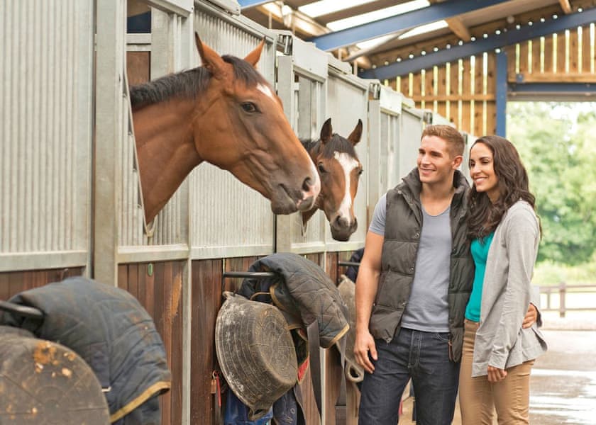 Sun Hill Lodges, Constable Burton