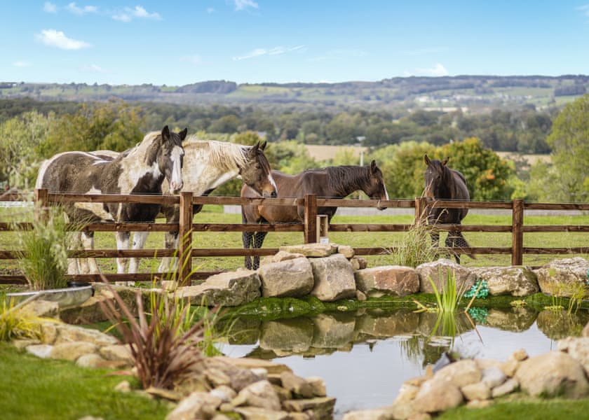 Sun Hill Lodges, Constable Burton