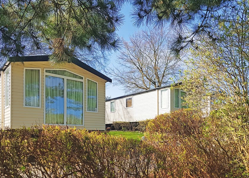 The park setting | Sunnyvale Holiday Park, Saundersfoot
