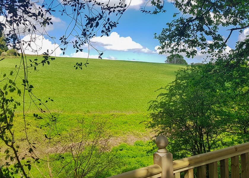 Oak 2 - Sunnyvale Holiday Park, Saundersfoot