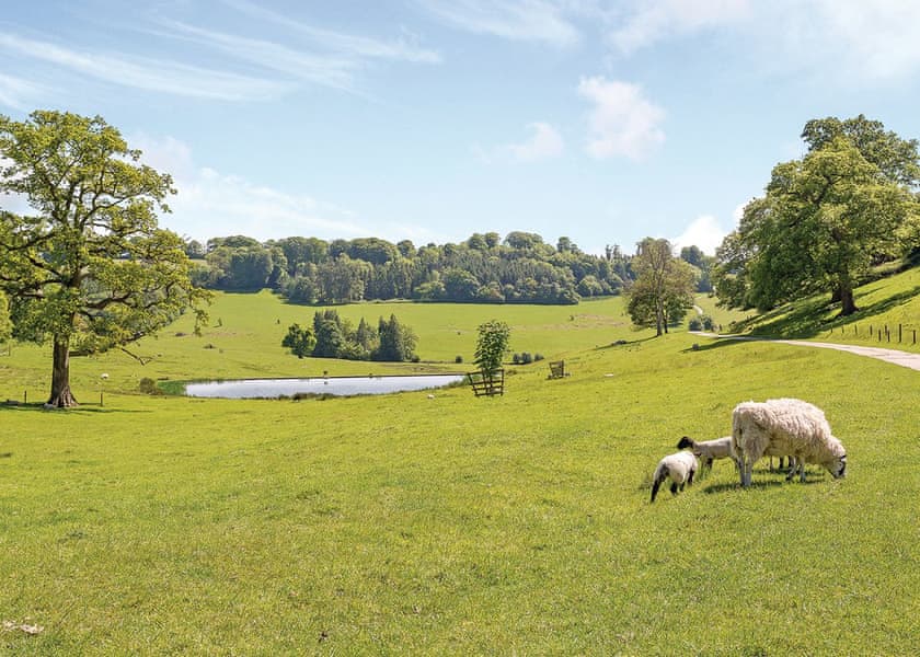 The park setting<br />