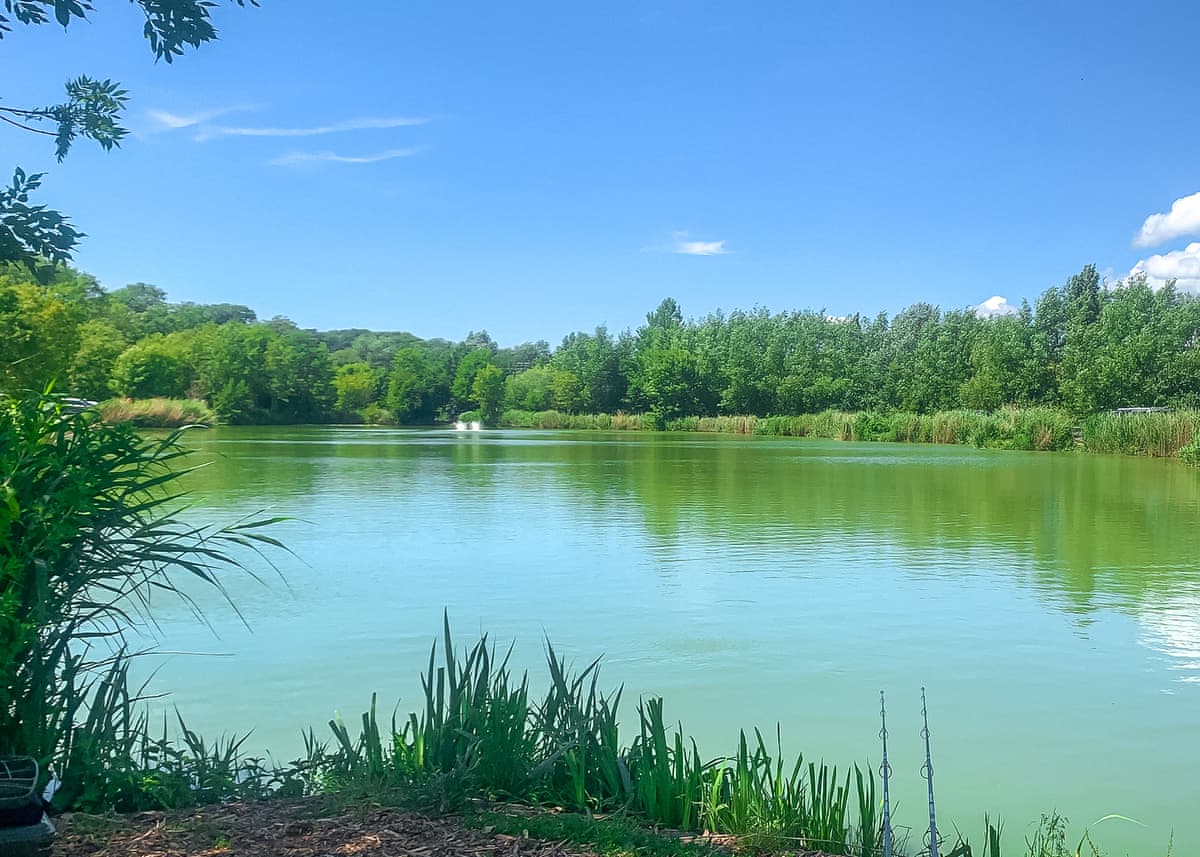 Swanborough Lakes Luxury Lodges - Holiday Lodge in Southern England - Image 5