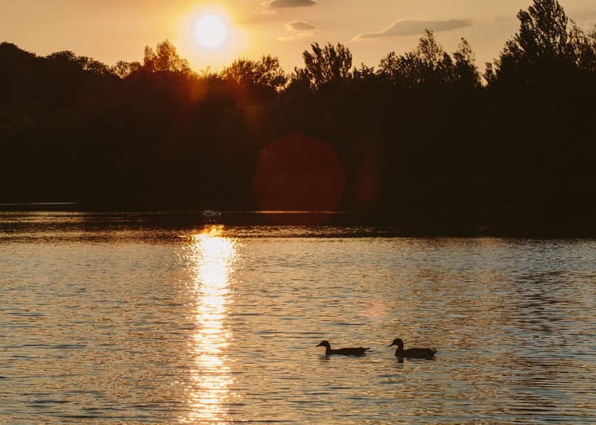 Swanborough Lakes Luxury Lodges, Lewes