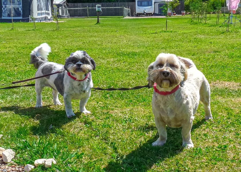 Stream Valley Holiday Park, Penzance