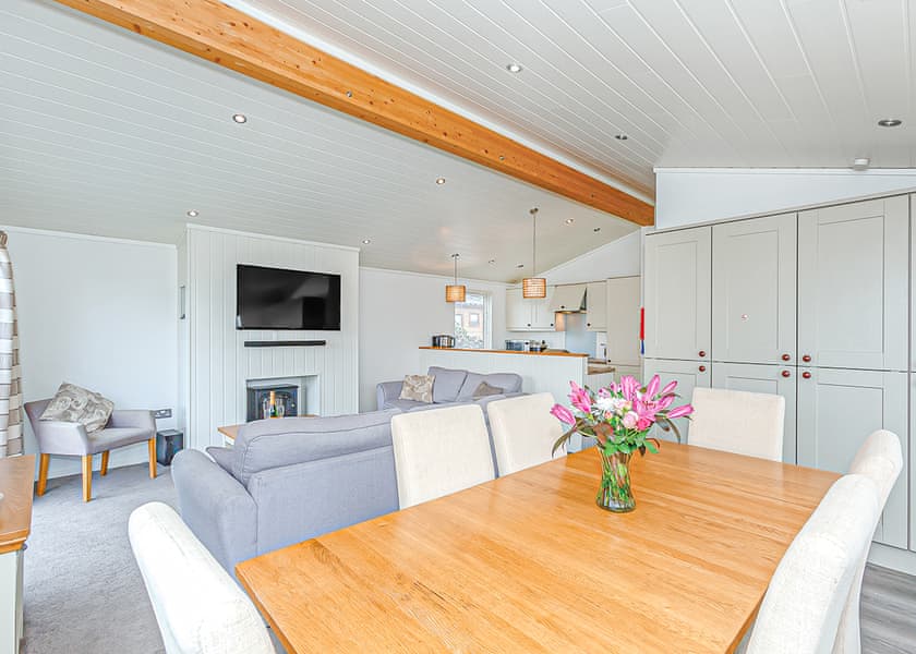 Typical Tirtree 4 Premier