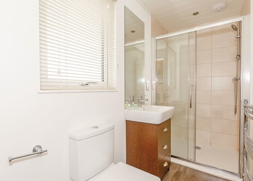 Typical Tirtree 4 Premier