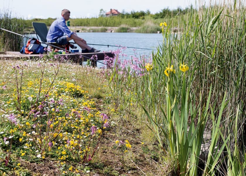 Thornwick Bay, Flamborough