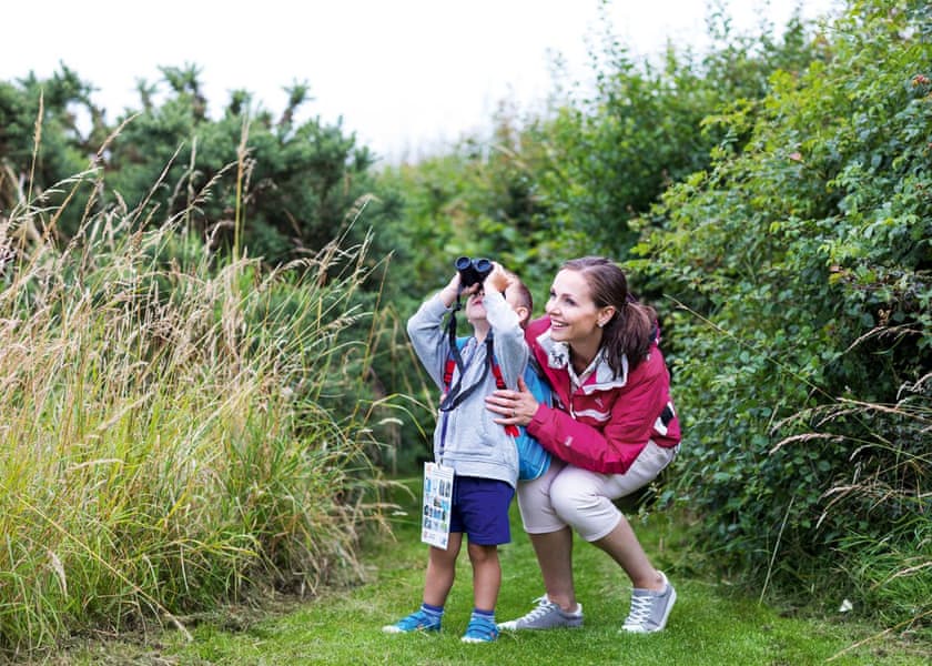 Thornwick Bay, Flamborough