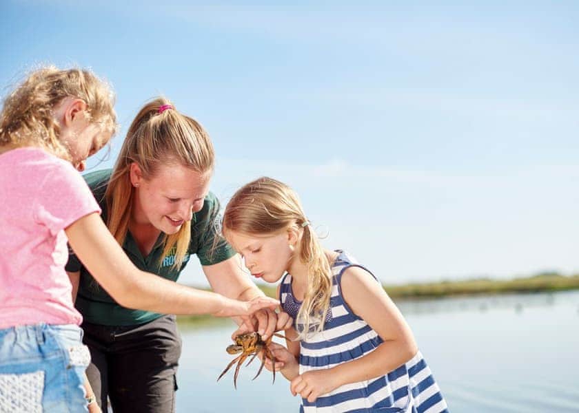 Cleethorpes Beach Holiday Park, Cleethorpes 