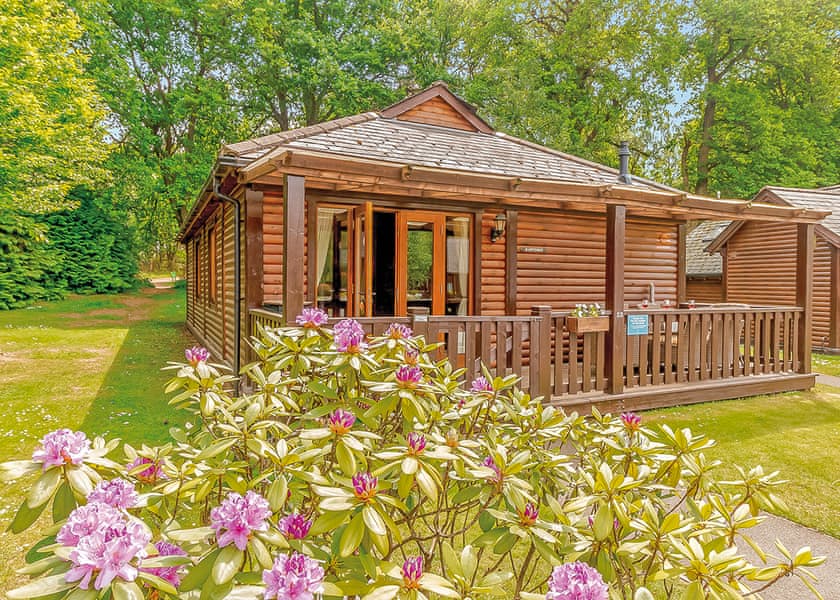 Hawthorn Lodge - Tilford Woods Lodge Retreat, Tilford, Farnham