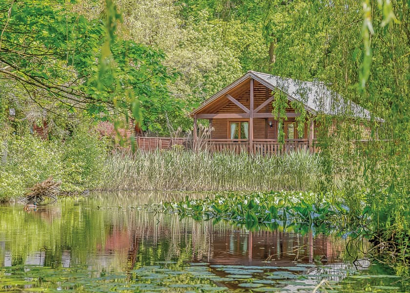 Falkner Watersedge Lodge - Tilford Woods Lodge Retreat, Tilford, Farnham