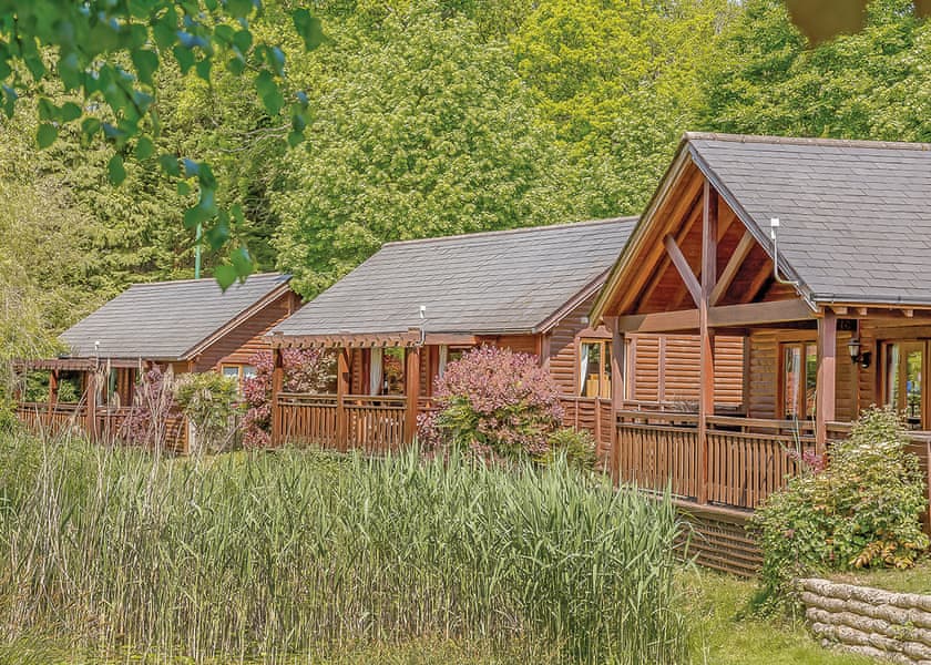 Falkner Watersedge Lodge - Tilford Woods Lodge Retreat, Tilford, Farnham