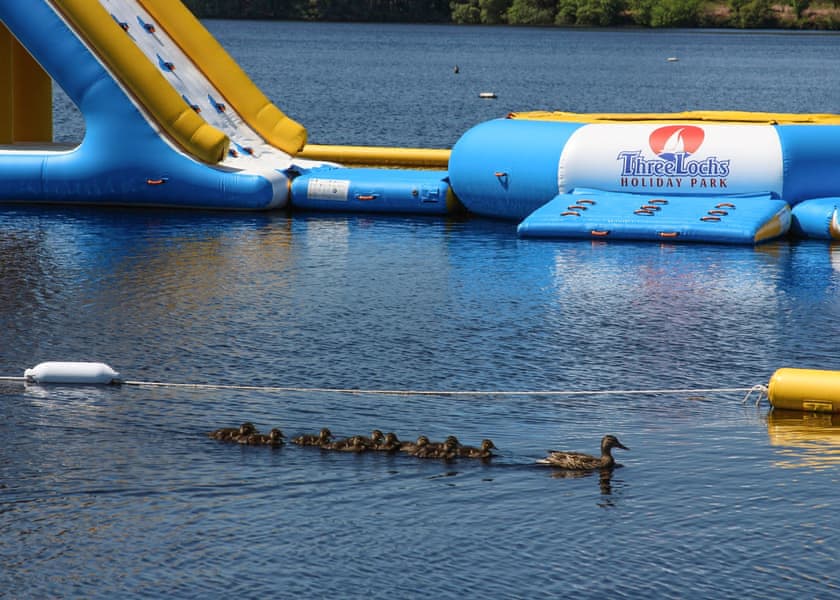 Three Lochs Holiday Park, Newton Stuart