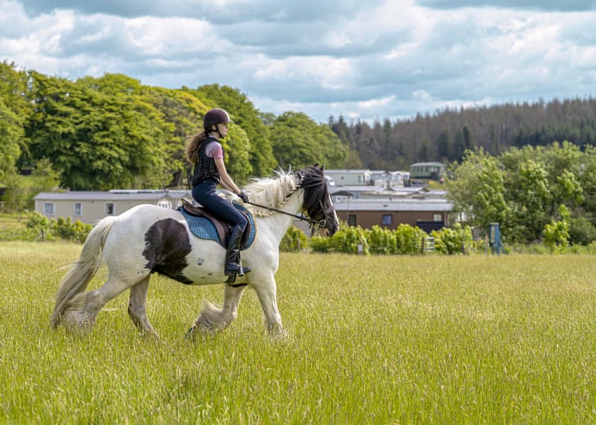 Three Lochs Holiday Park, Newton Stuart