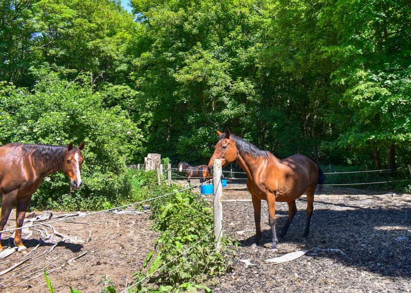 Thompson Hall Retreat, Thetford