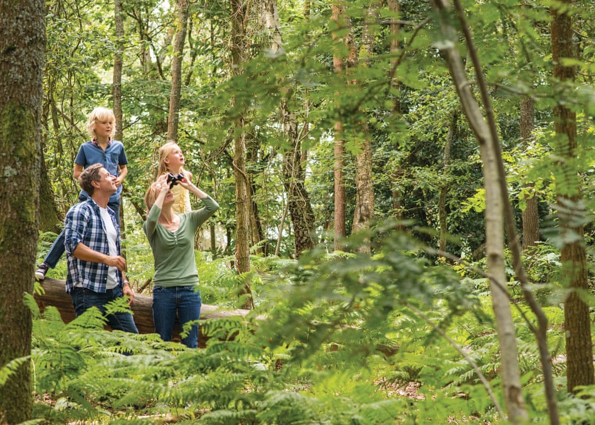Exmoor Gate Lodges - Holiday Lodge in South West England - Image 3