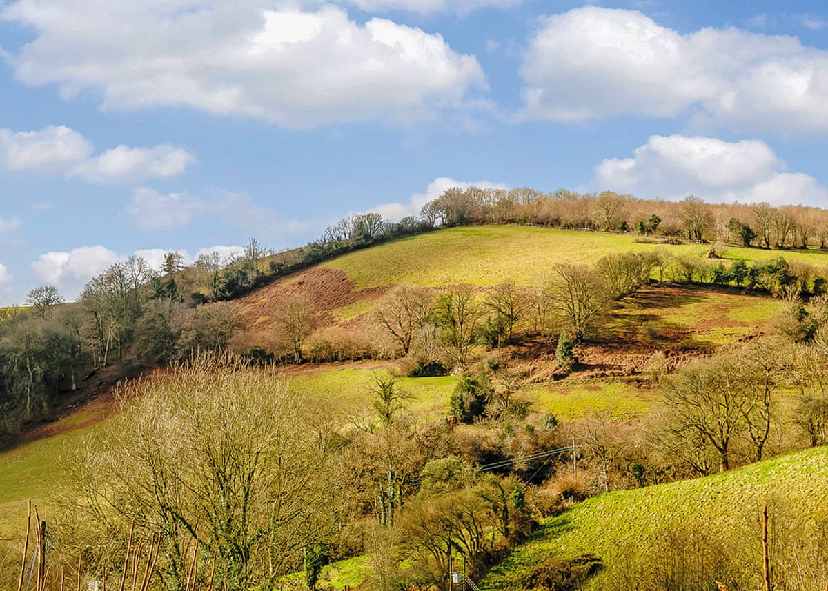 Exmoor Gate Lodges - Holiday Lodge in South West England - Image 4