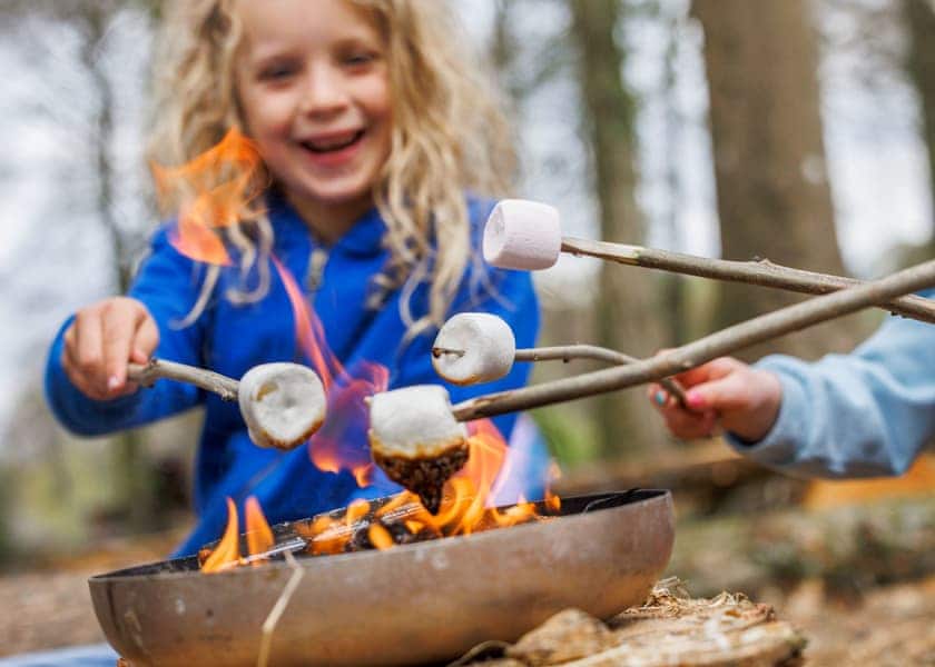 Thorpe Forest Lodges, Thetford Forest