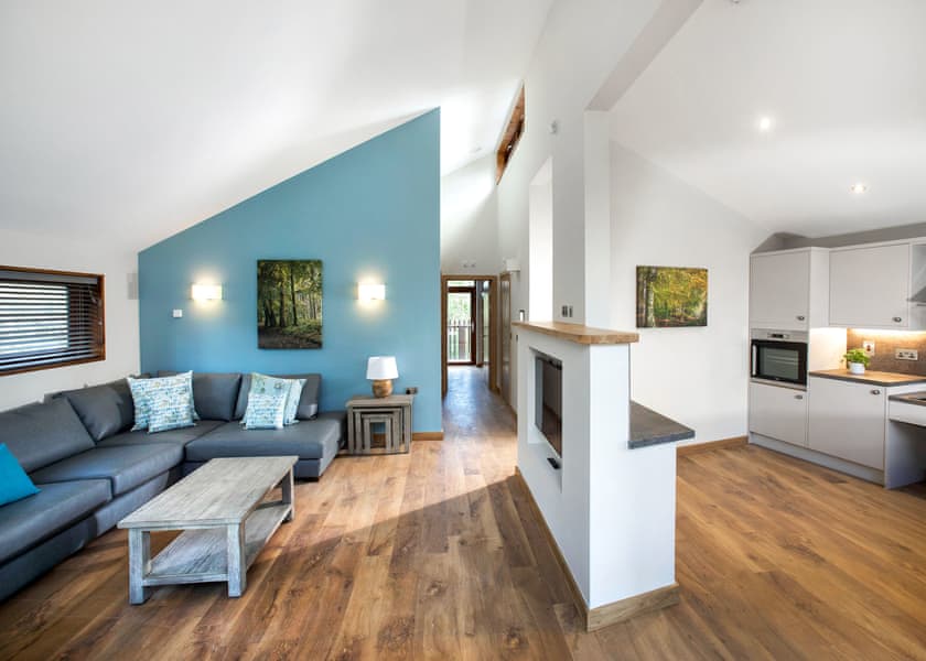 Silver Birch 2 WF - Thorpe Forest Lodges, Thetford Forest