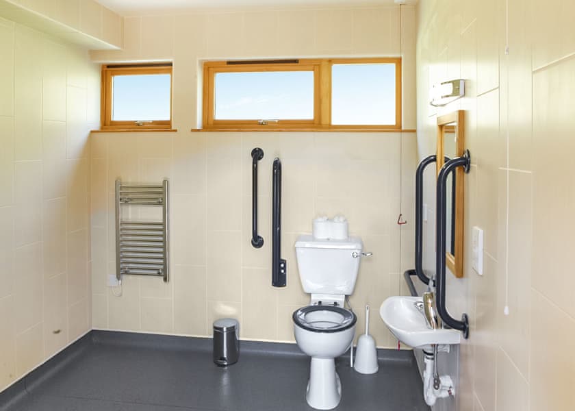 Silver Birch 2 WF - Thorpe Forest Lodges, Thetford Forest