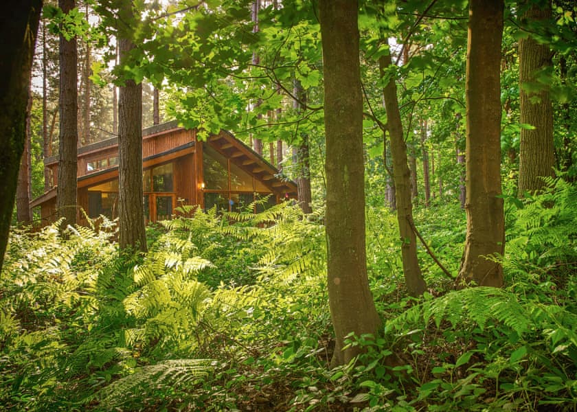 Golden Oak Hideaway (Pet) - Thorpe Forest Lodges, Thetford Forest
