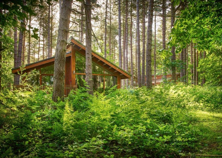 Silver Birch 3, Silver Birch 3 - Thorpe Forest Lodges, Thetford Forest