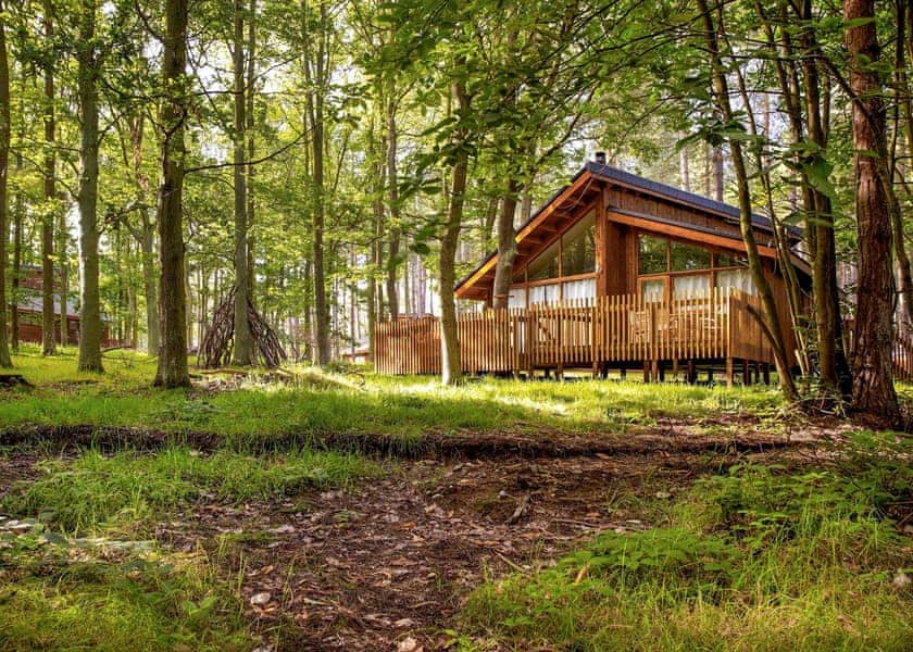 Golden Oak 2, Golden Oak 2 - Thorpe Forest Lodges, Thetford Forest