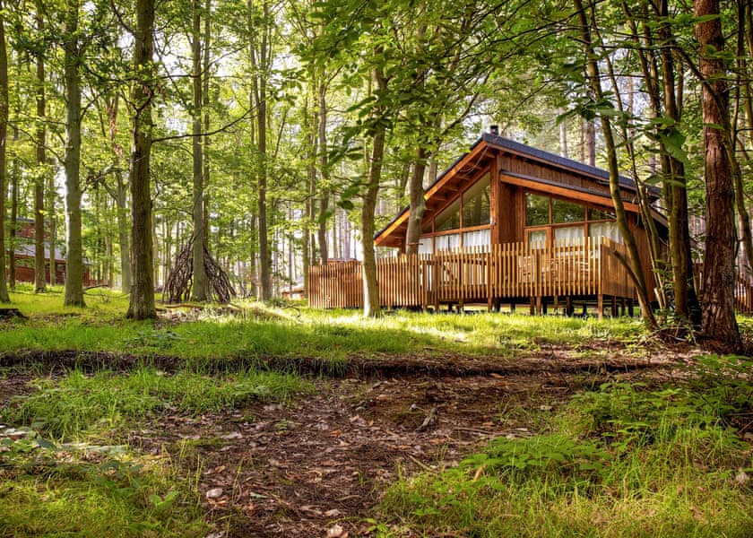 Golden Oak 3, Golden Oak 3 - Thorpe Forest Lodges, Thetford Forest