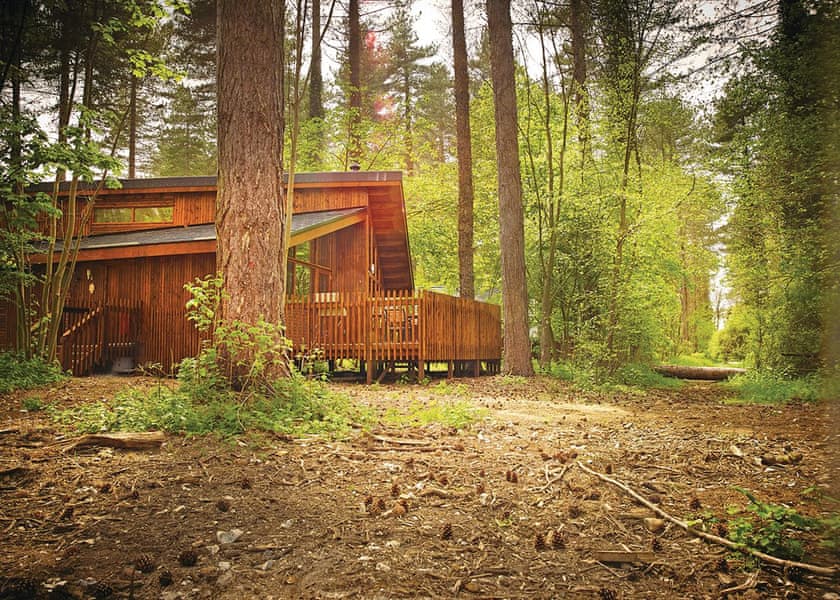 Thorpe Forest Lodges in Thetford Forest Hoseasons