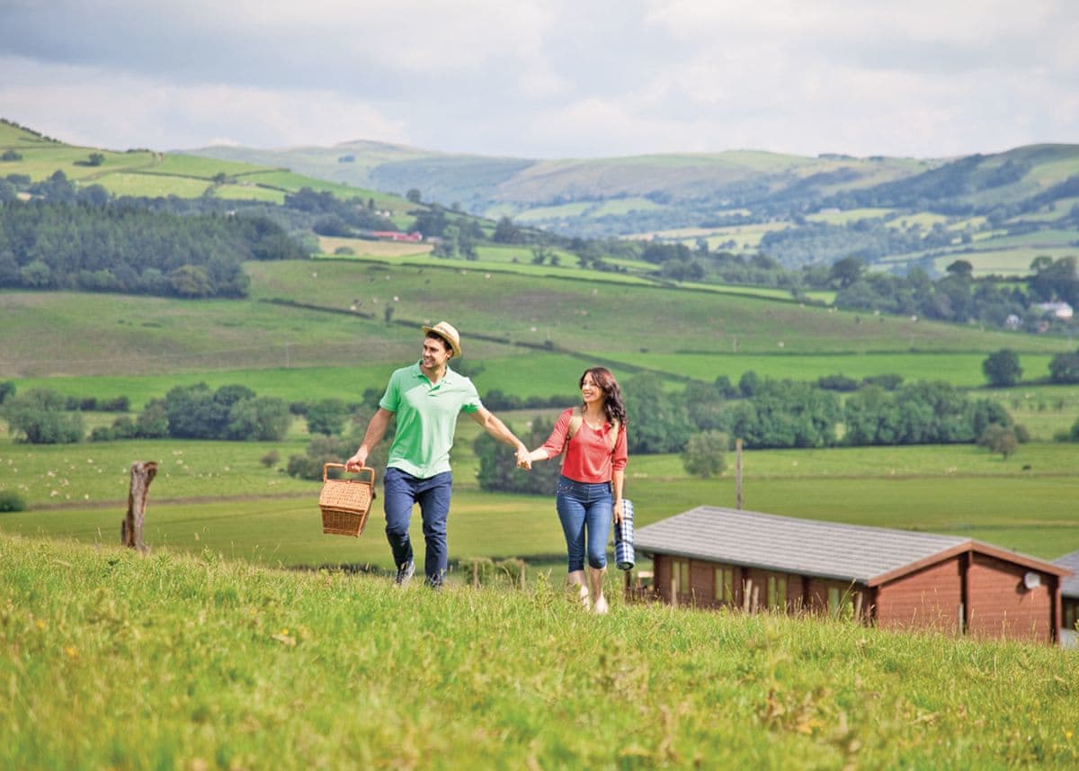 Trewythen Lodges - Lodge in Mid Wales