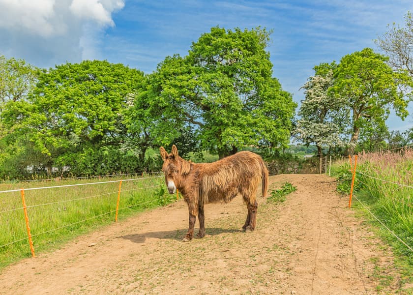 Meadow Lakes Holiday Park, Nr St Austell