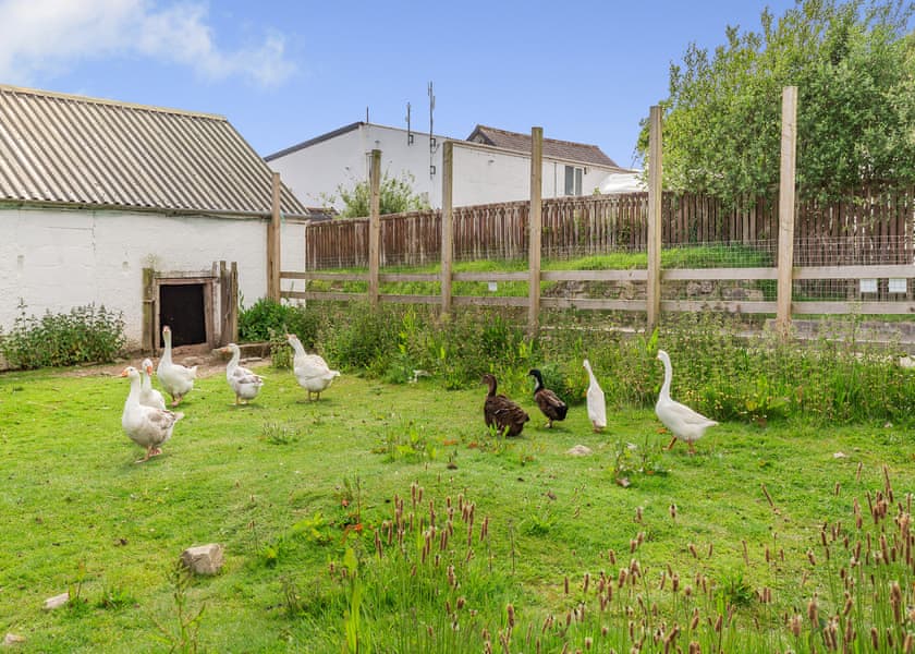 Meadow Lakes Holiday Park, Nr St Austell