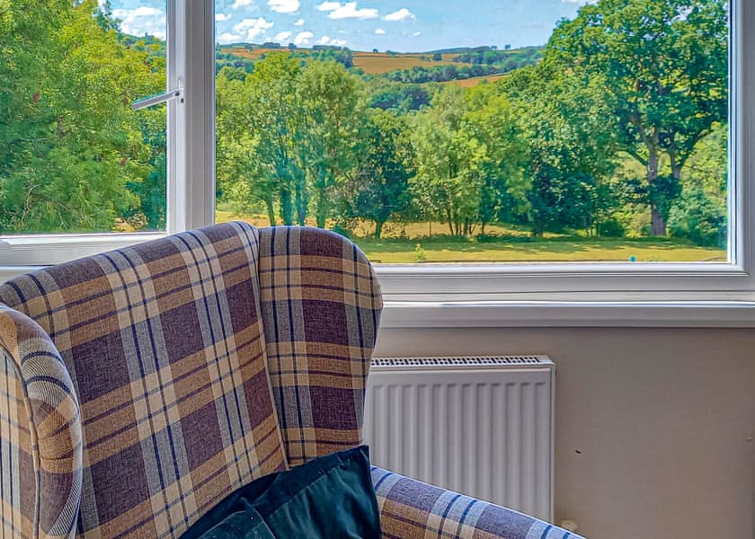 Pheasant - Romansleigh Retreat, South Molton, nr Barnstaple