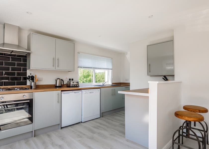 Pheasant - Romansleigh Retreat, South Molton, nr Barnstaple