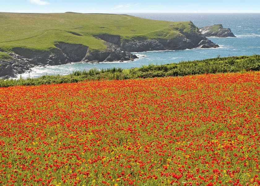 Trevornick Holiday Park, Holywell Bay